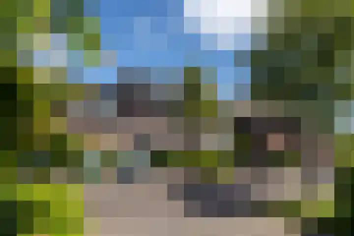 Damreesche Spoor 97 Leusden thumbnail 33