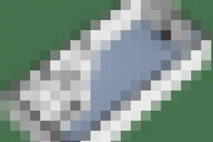 Damreesche Spoor 97 Leusden thumbnail 40