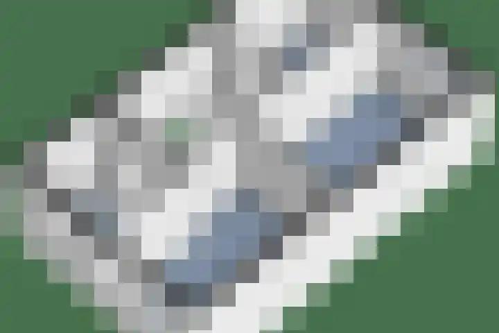 Damreesche Spoor 97 Leusden thumbnail 41