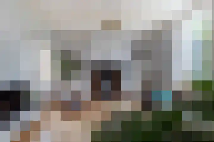 Damseweg 101 Ottoland thumbnail 11