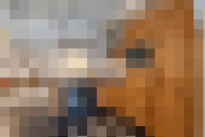 Damseweg 101 Ottoland thumbnail 19