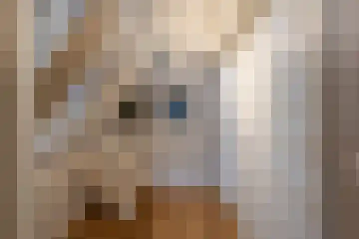 Damseweg 101 Ottoland thumbnail 38