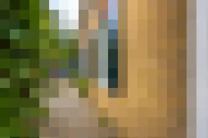 Damseweg 101 Ottoland thumbnail 48