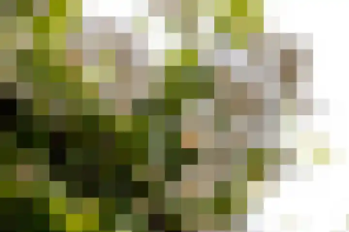 Damseweg 101 Ottoland thumbnail 49