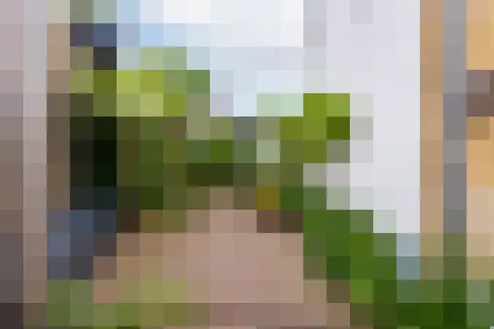 Damseweg 101 Ottoland thumbnail 5