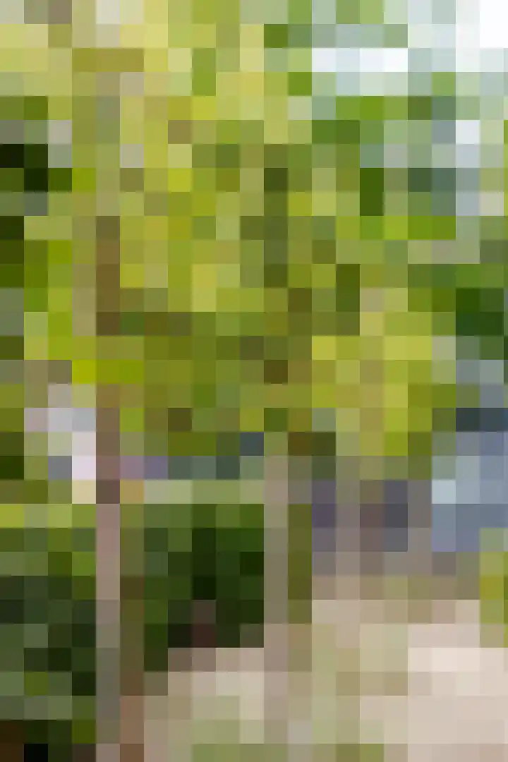 Damseweg 101 Ottoland thumbnail 62