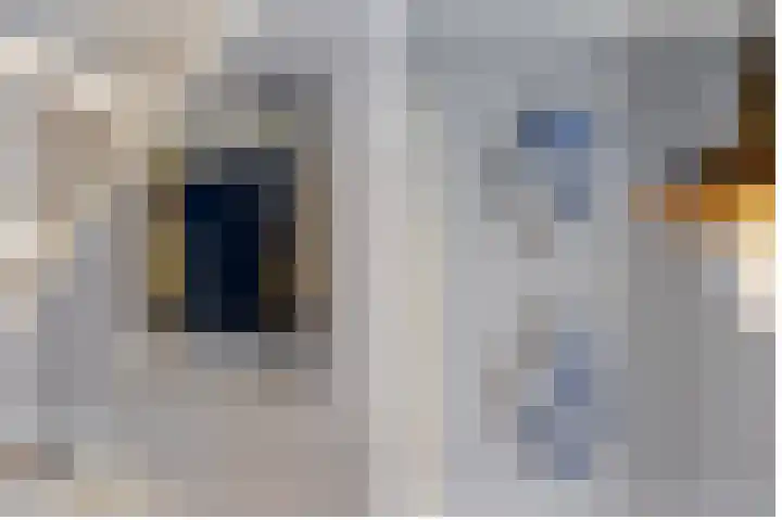 Damseweg 101 Ottoland thumbnail 64
