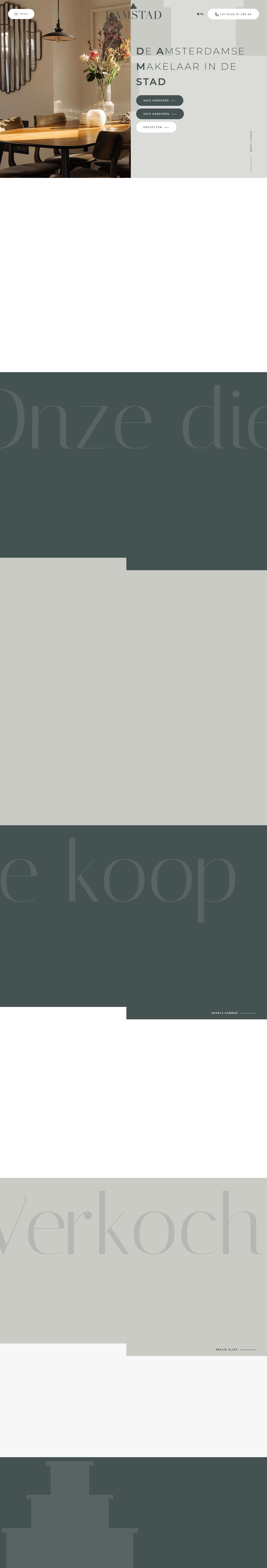 Screenshot van de website van www.damstad.nl