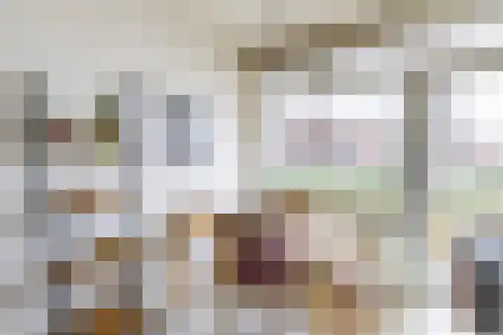 Damsterdiep 89 Groningen thumbnail 18