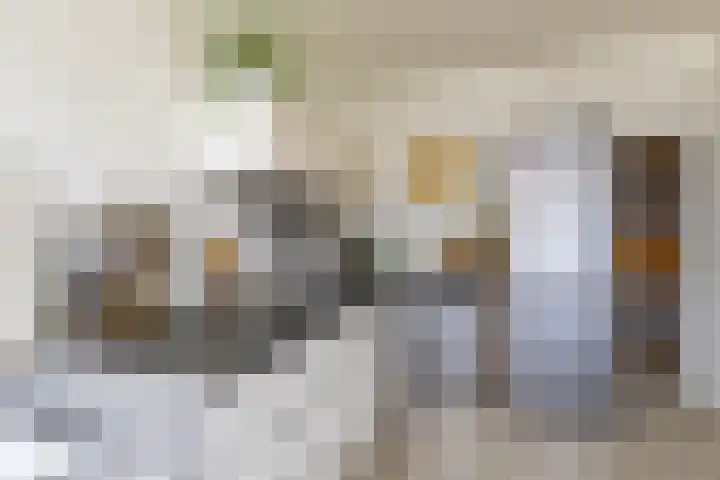 Damsterdiep 89 Groningen thumbnail 19
