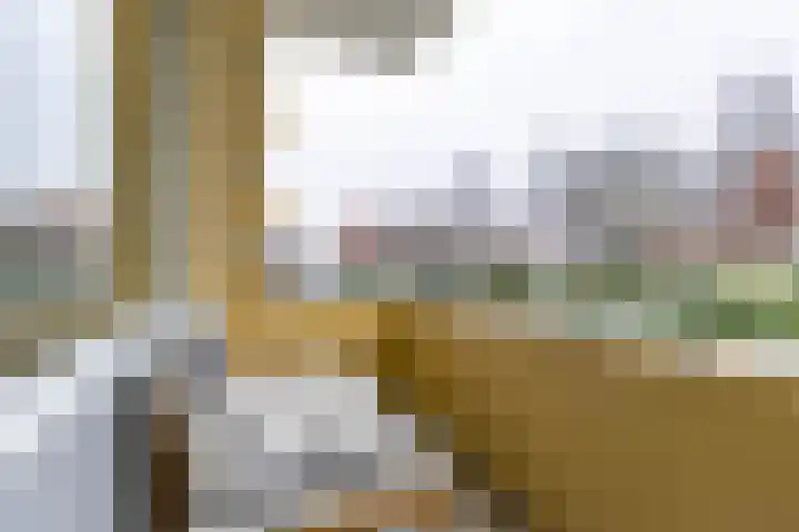 Damsterdiep 89 Groningen thumbnail 20