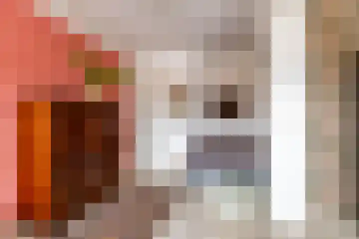 Damsterdiep 89 Groningen thumbnail 25