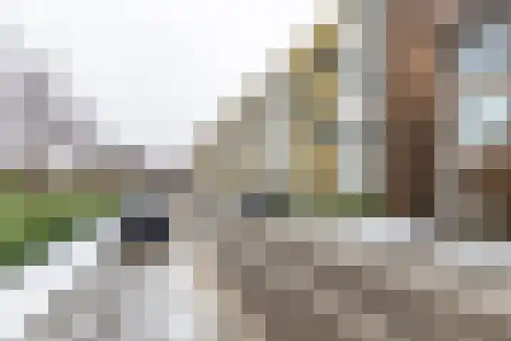 Damsterdiep 89 Groningen thumbnail 35