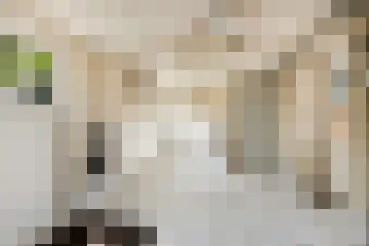 Damstraat 5 Lobith thumbnail 20