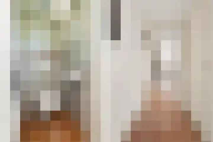 Damstraat 5 Lobith thumbnail 23
