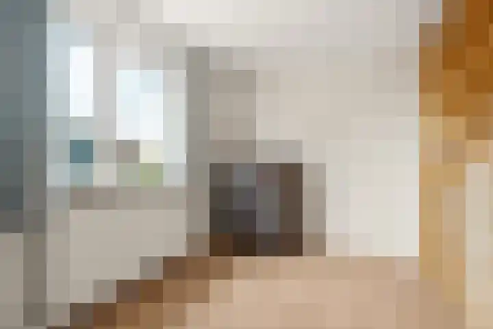 Damstraat 5 Lobith thumbnail 25