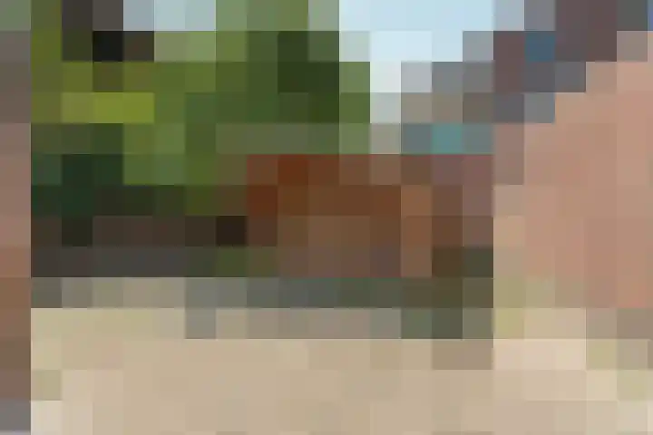 Damstraat 5 Lobith thumbnail 39