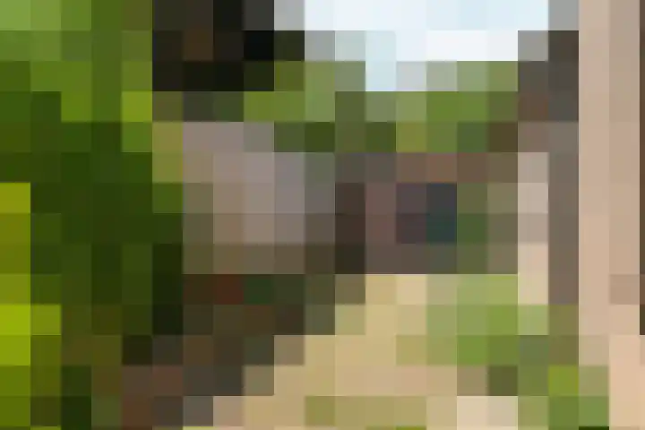 Damstraat 5 Lobith thumbnail 42