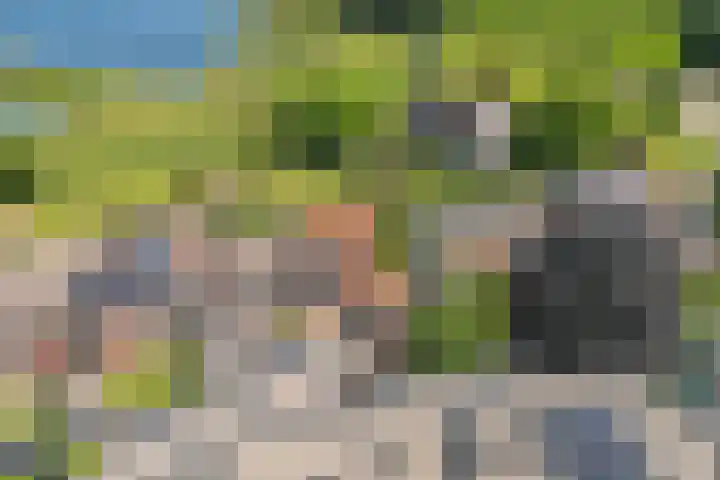 Damstraat 5 Lobith thumbnail 47