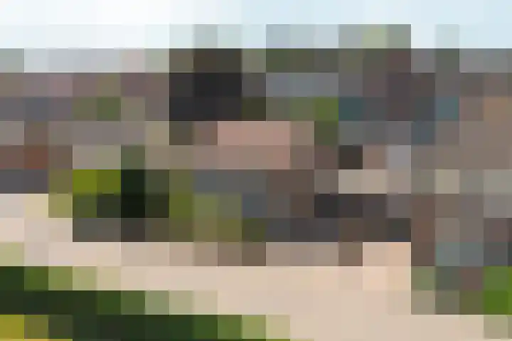 Damstraat 5 Lobith thumbnail 61