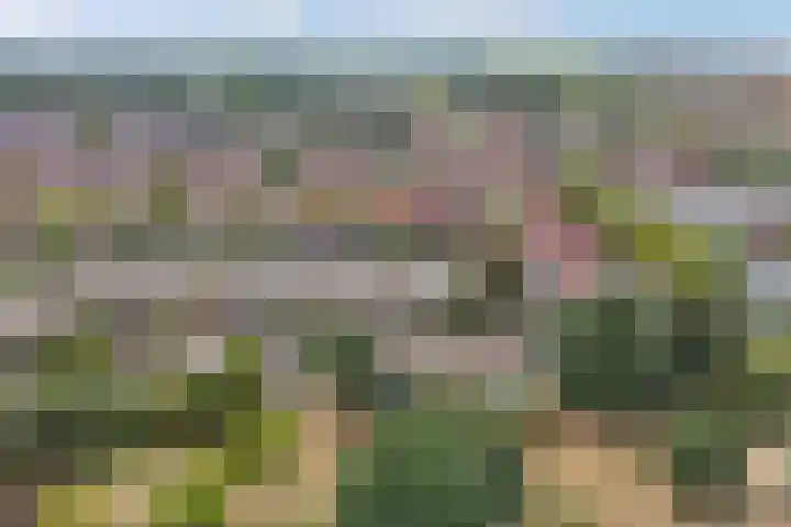 Damwand 42 Huizen thumbnail 7
