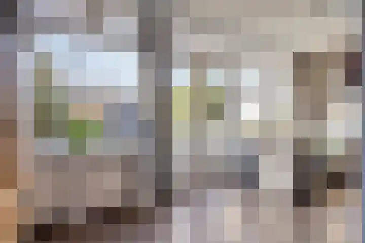 Danackers 48 Emmen thumbnail 10