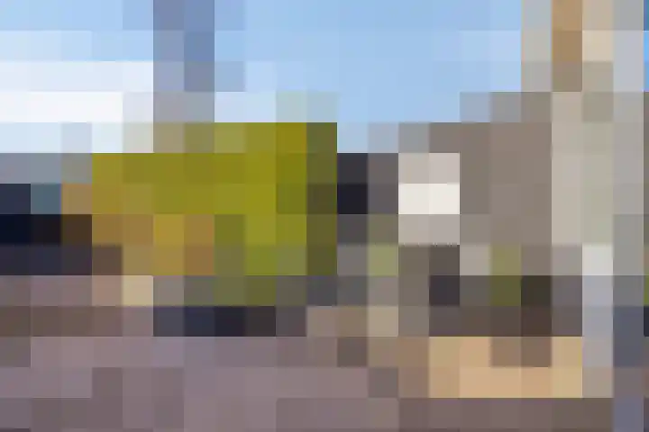 Danackers 48 Emmen thumbnail 24