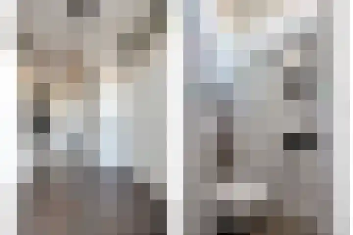 Danackers 48 Emmen foto 3