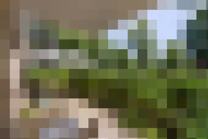 Dancepad 6 Haarlem thumbnail 18