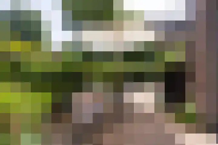 Dancepad 6 Haarlem thumbnail 19