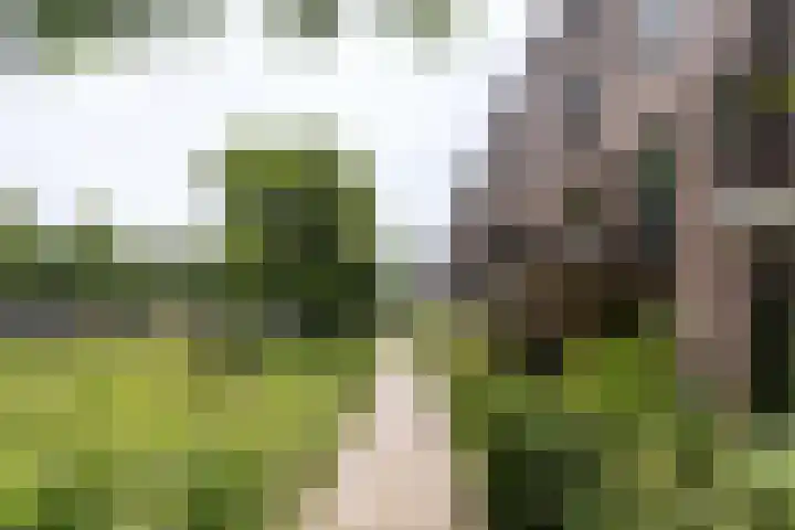 Dancepad 6 Haarlem thumbnail 26