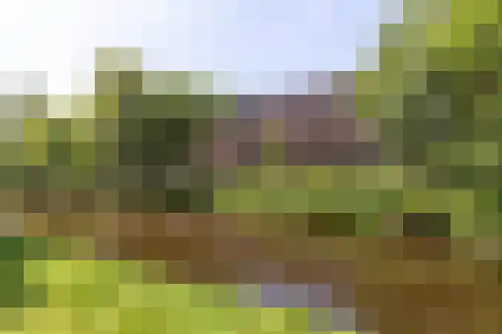 Dancepad 6 Haarlem thumbnail 27