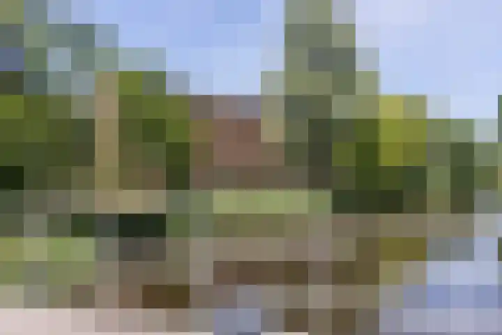 Dancepad 6 Haarlem thumbnail 28