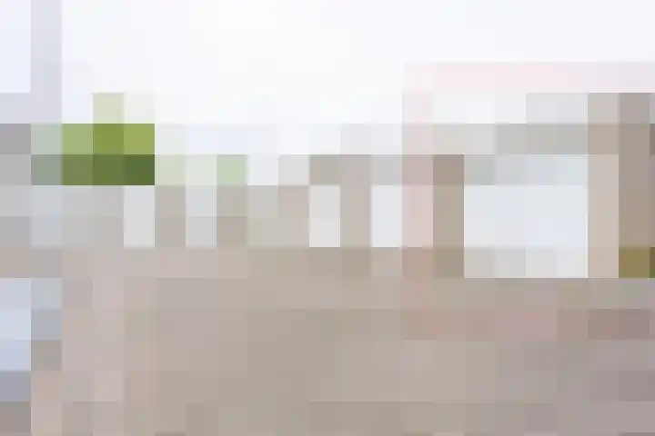 Daniël-Eik 5 Kerkrade thumbnail 19