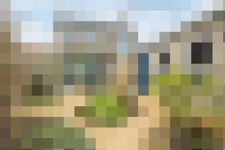Daniëlstraat 18 Langeweg thumbnail 4