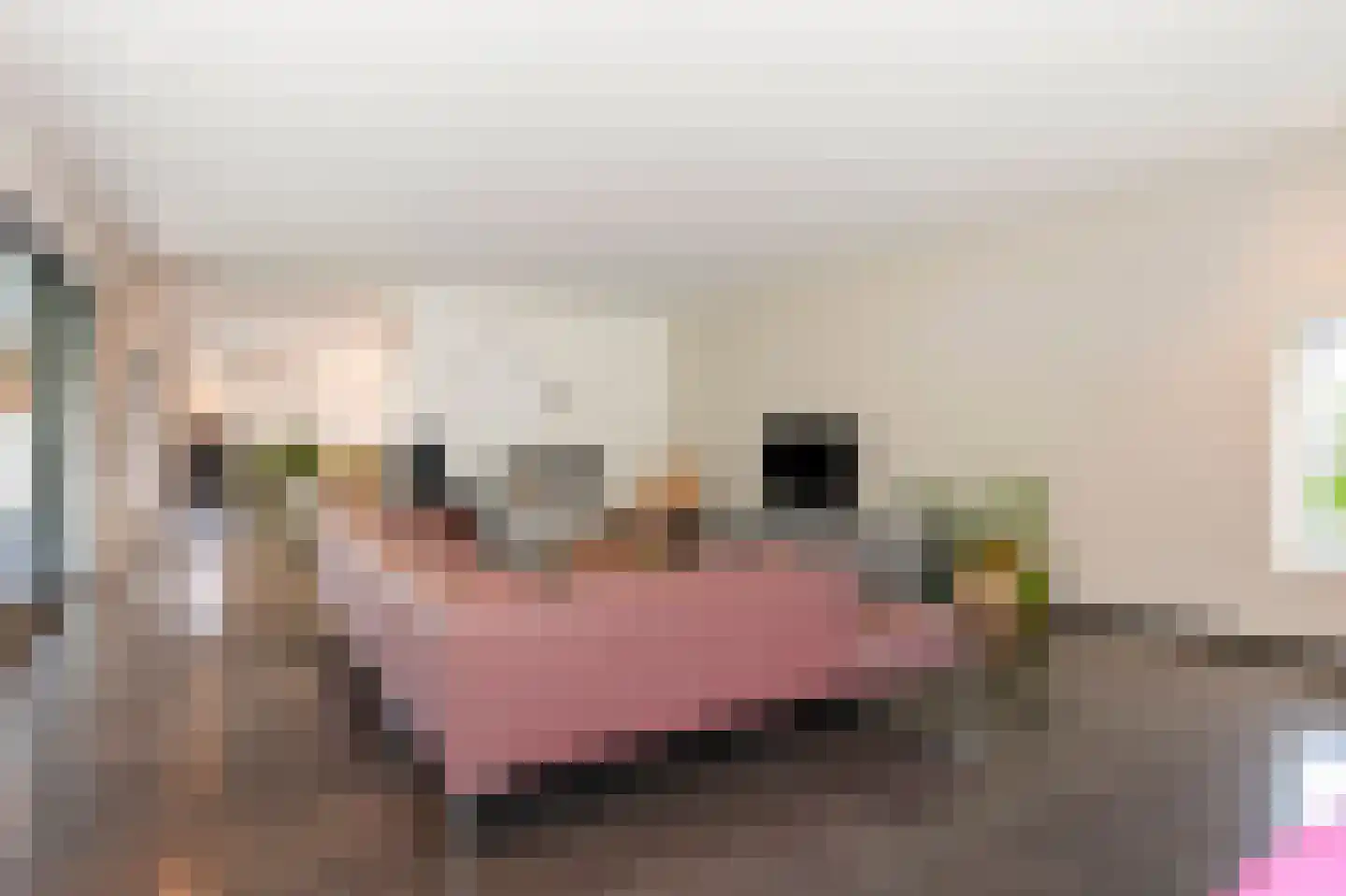 Daniken 17 Geleen thumbnail 13