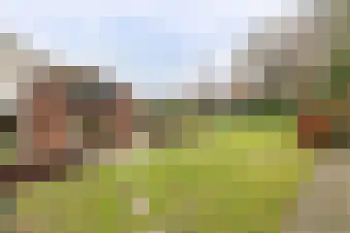 Daniken 5 Sweikhuizen thumbnail 17