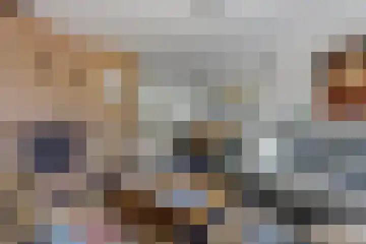Dankolfberg 4 Steenbergen thumbnail 13