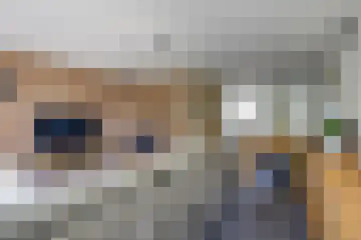 Dankolfberg 4 Steenbergen thumbnail 14