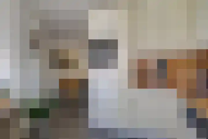Dankolfberg 4 Steenbergen thumbnail 19
