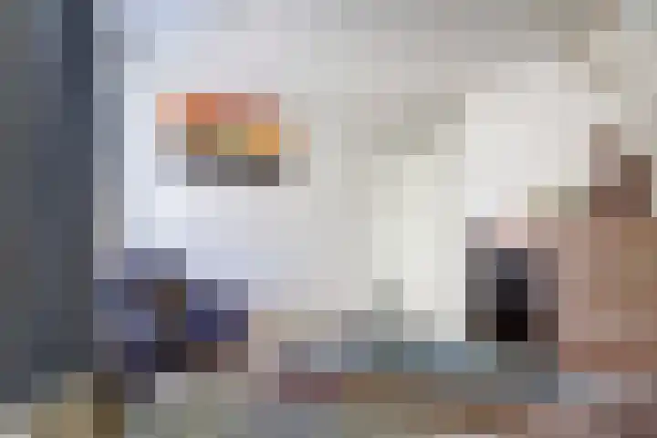 Dankolfberg 4 Steenbergen thumbnail 23