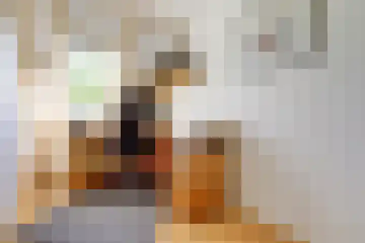 Dankolfberg 4 Steenbergen thumbnail 24