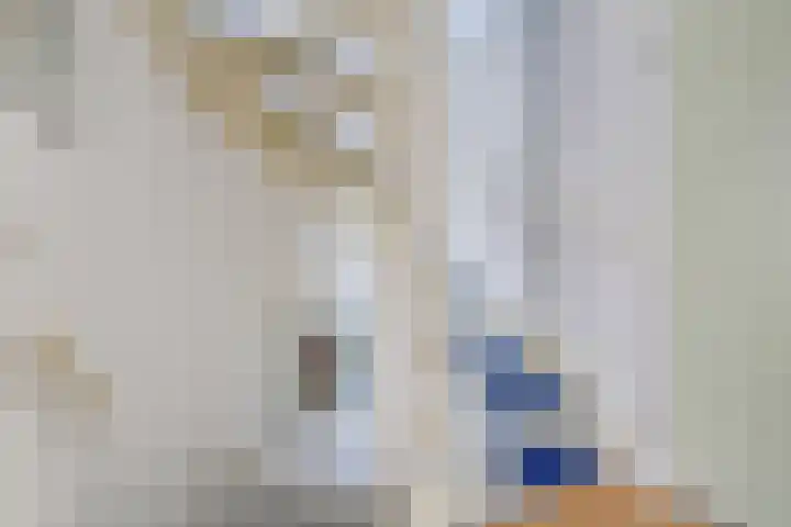Dankolfberg 4 Steenbergen thumbnail 27