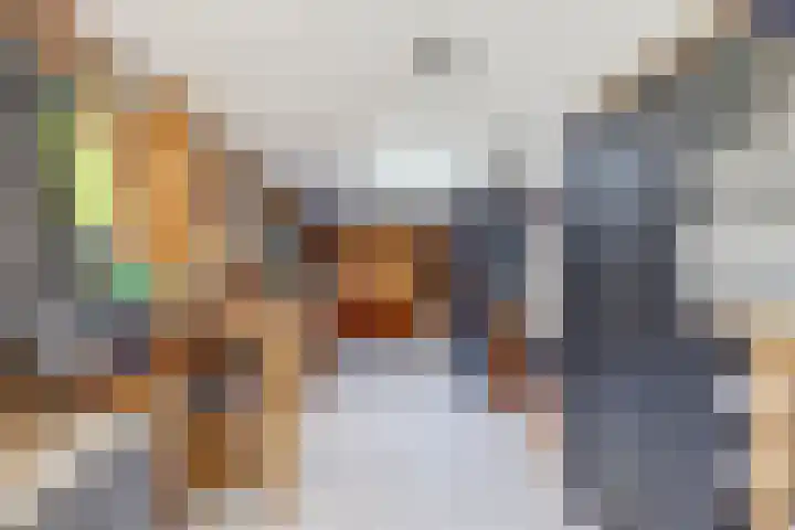 Dankolfberg 4 Steenbergen thumbnail 30