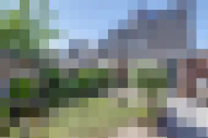 Dankolfberg 4 Steenbergen thumbnail 32