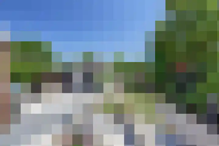 Dankolfberg 4 Steenbergen thumbnail 33