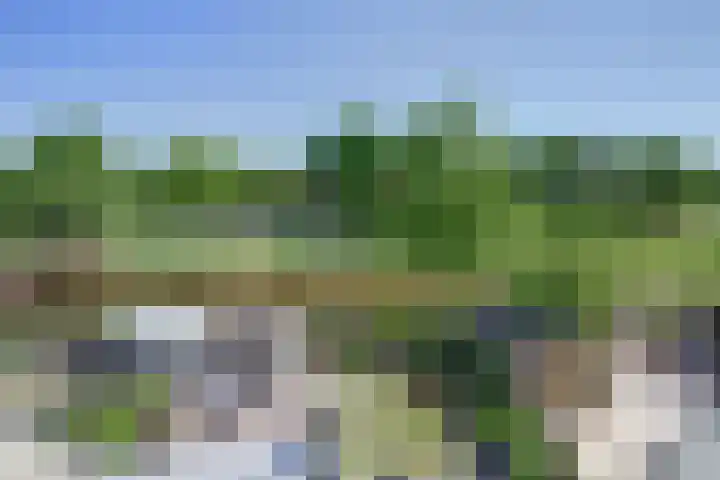 Dankolfberg 4 Steenbergen thumbnail 35