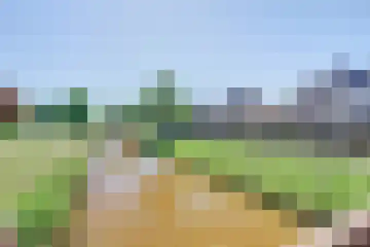 Dankolfberg 4 Steenbergen thumbnail 36