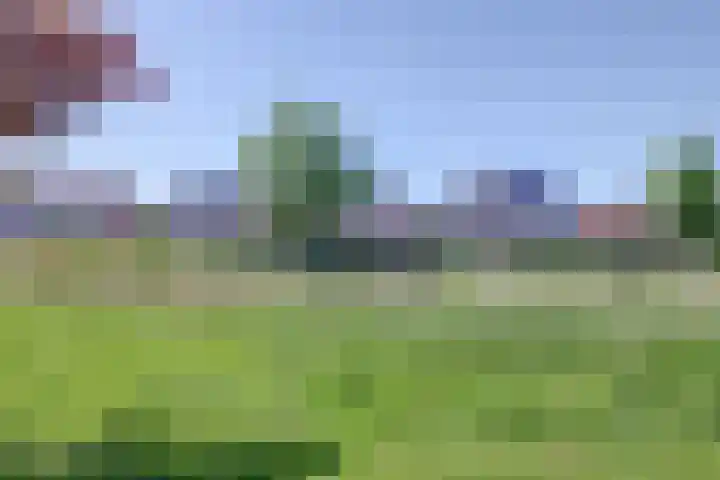 Dankolfberg 4 Steenbergen thumbnail 37