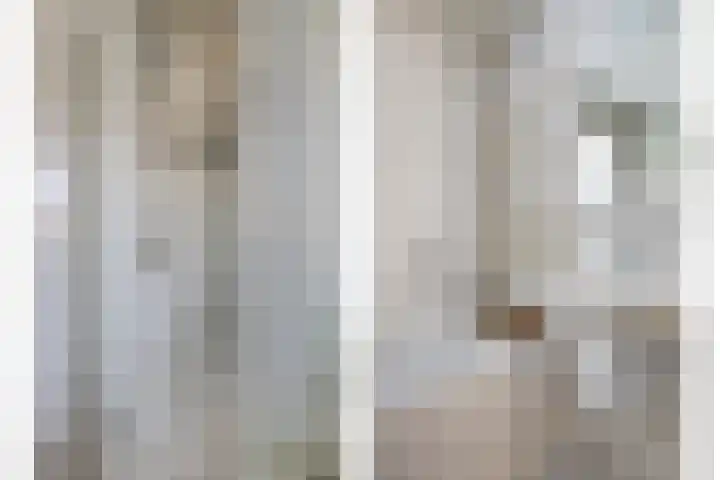Dankolfberg 4 Steenbergen thumbnail 4